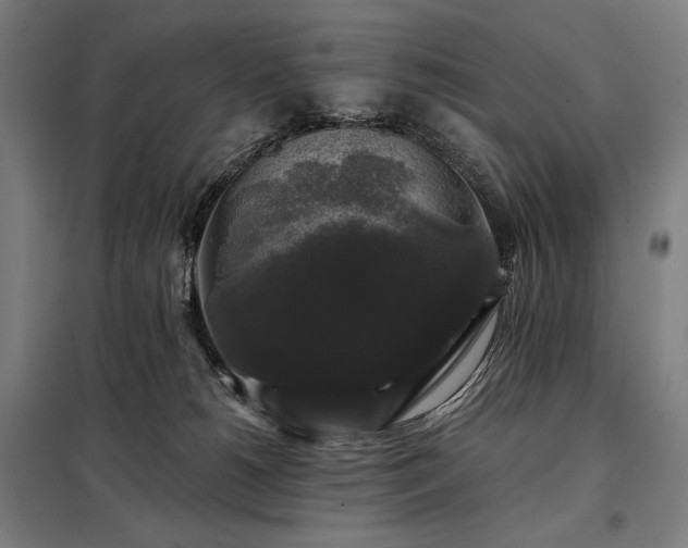 X0000097990180200804021016