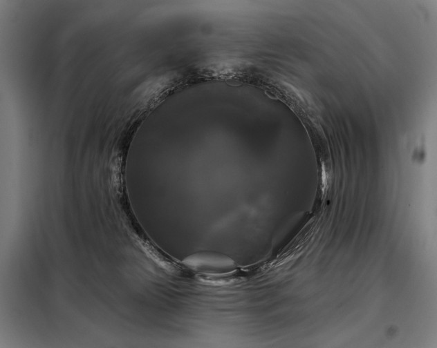 X0000097990181200804021016