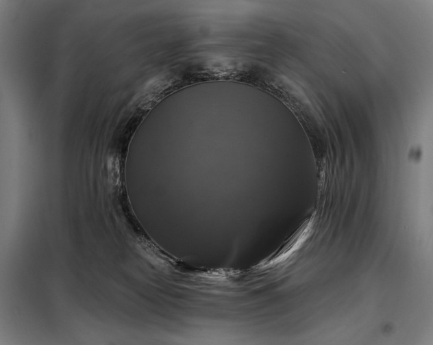 X0000097990182200804021016