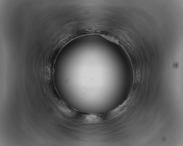 X0000097990183200804021017