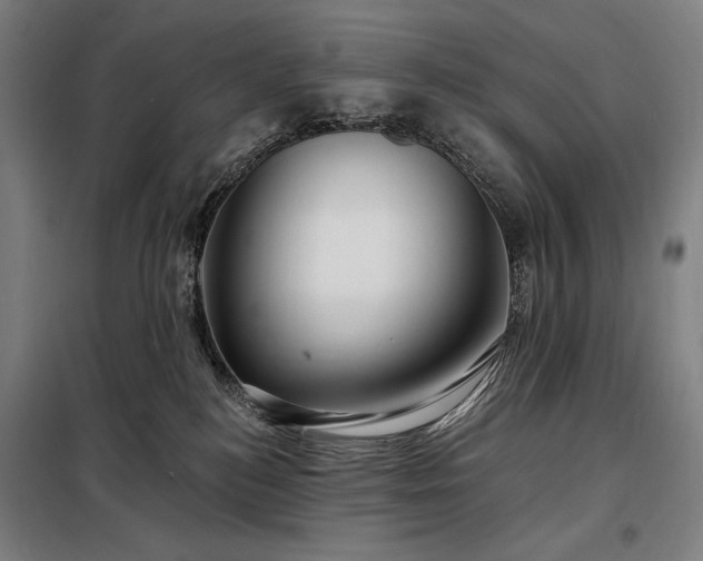 X0000097990184200804021017