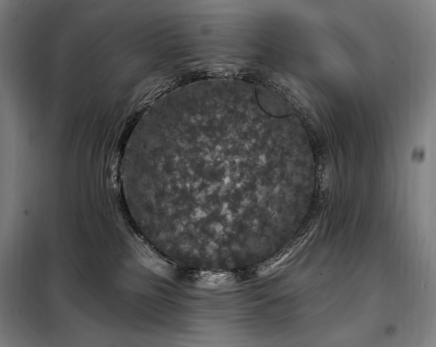 X0000097990185200804021017