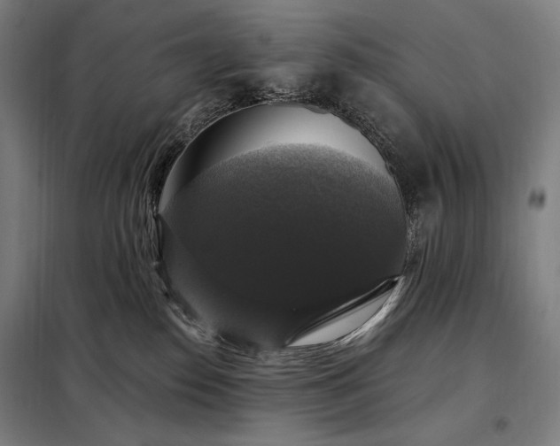 X0000097990186200804021017