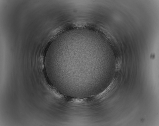 X0000097990187200804021017