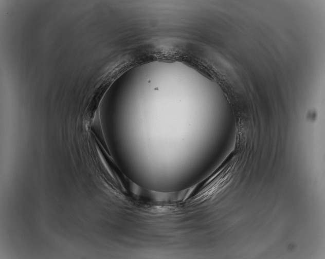 X0000097990188200804021017