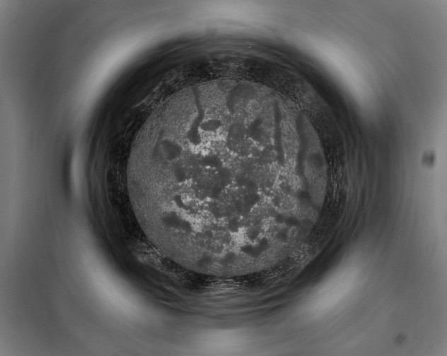 X0000097990189200804021017