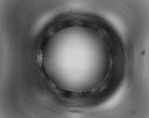 X0000097990190200804021017
