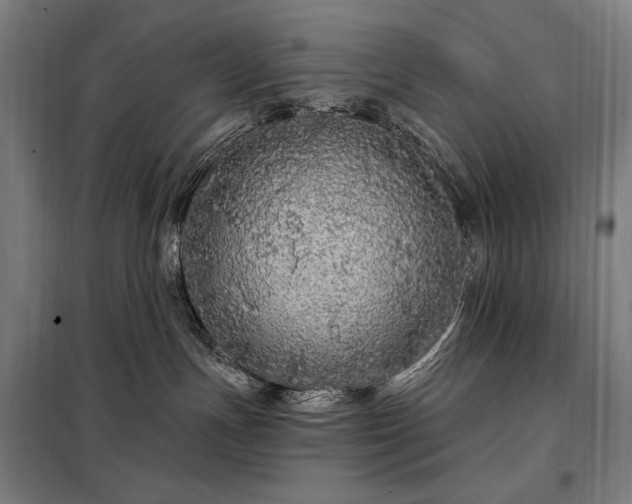 X0000097990191200804021017