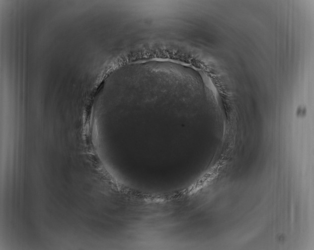 X0000097990192200804021017
