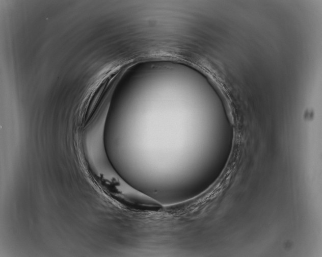 X0000097990193200804021016