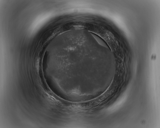 X0000097990194200804021016