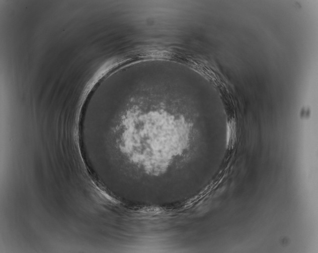 X0000097990195200804021016