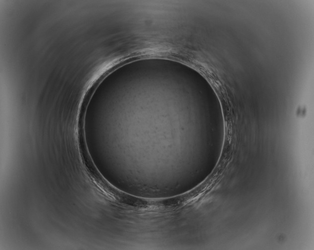 X0000097990196200804021016