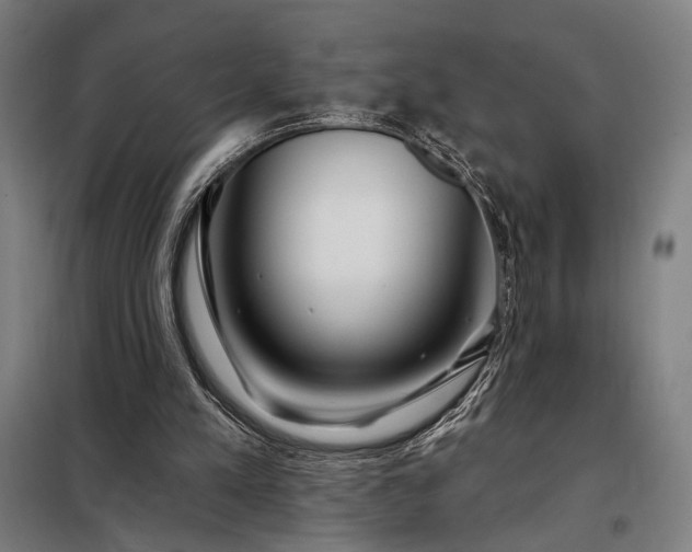 X0000097990197200804021016