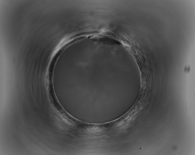 X0000097990198200804021016