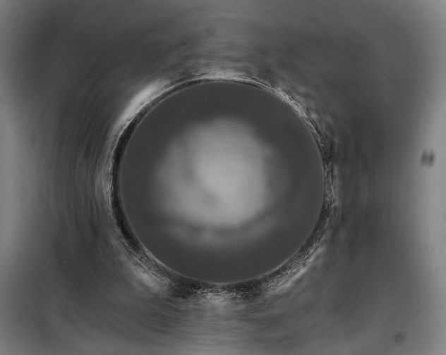X0000097990199200804021016