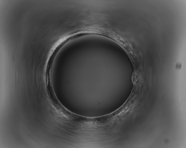 X0000097990200200804021016
