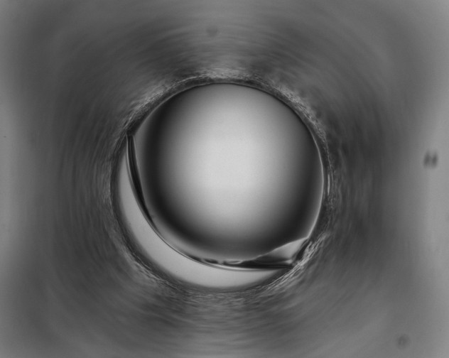 X0000097990201200804021016