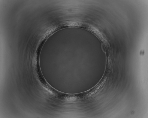 X0000097990202200804021016