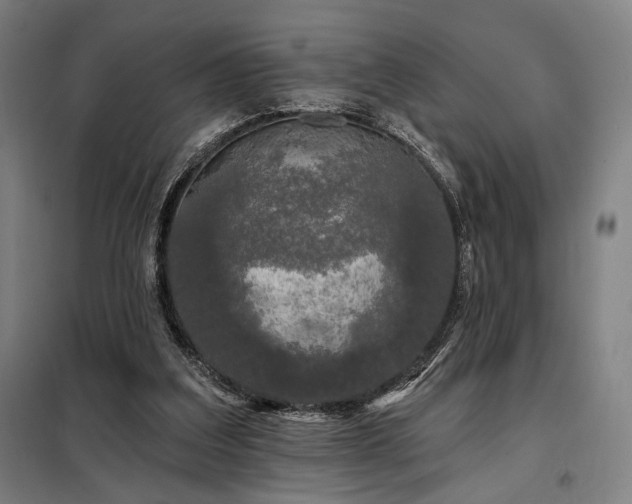 X0000097990203200804021016