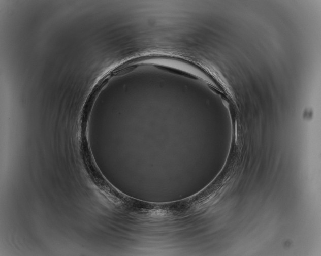 X0000097990204200804021016