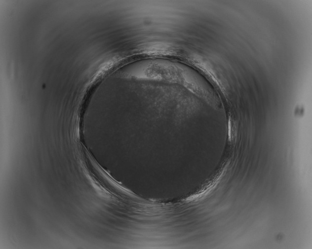 X0000097990205200804021016
