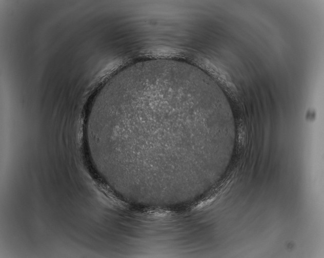 X0000097990206200804021016