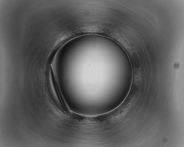X0000097990207200804021016