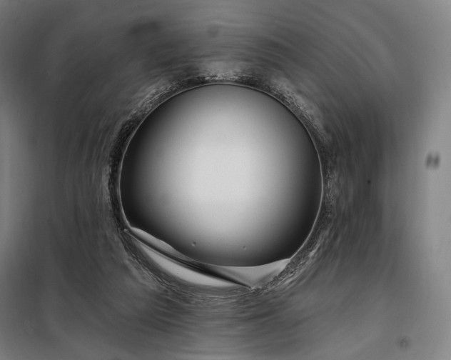 X0000097990209200804021016