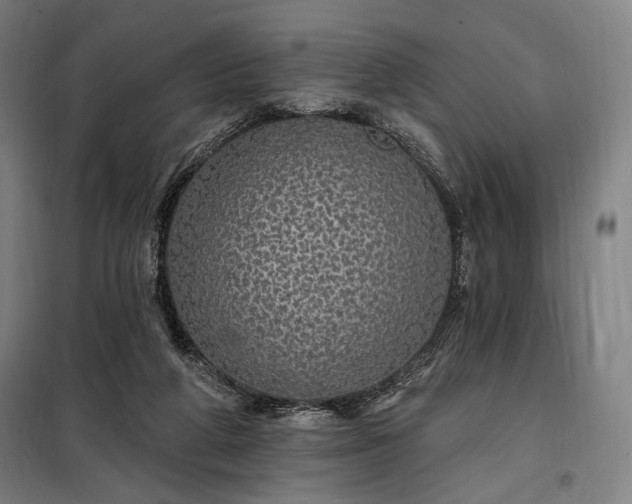 X0000097990210200804021016
