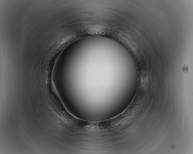 X0000097990211200804021016