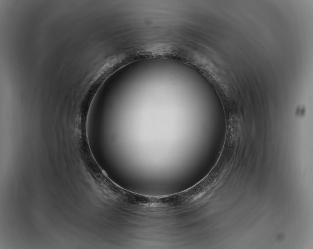 X0000097990212200804021016