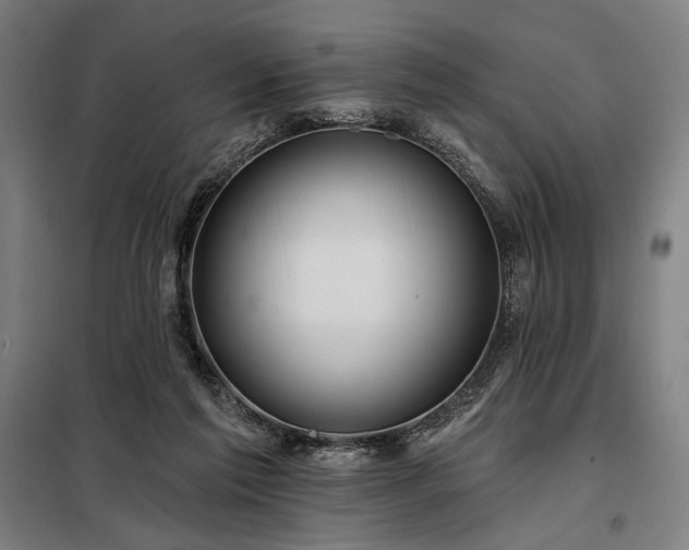 X0000097990213200804021016