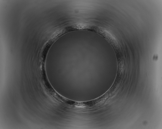 X0000097990214200804021016