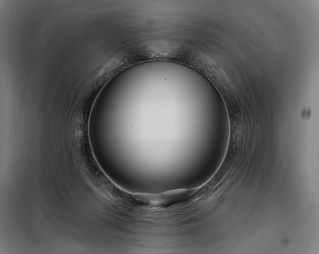 X0000097990215200804021016