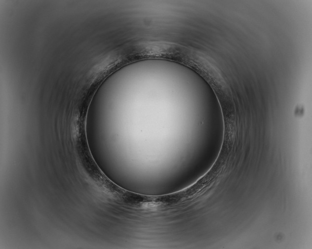 X0000097990216200804021016