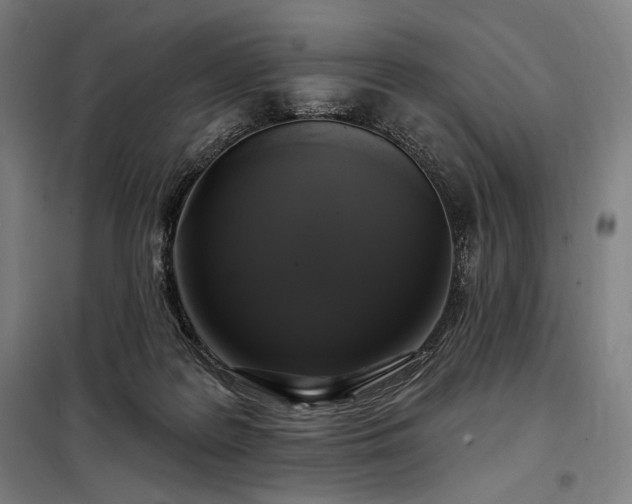 X0000097990219200804021016