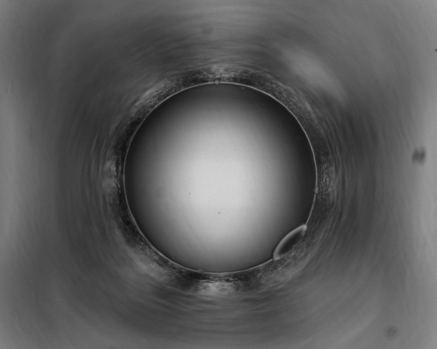X0000097990220200804021016