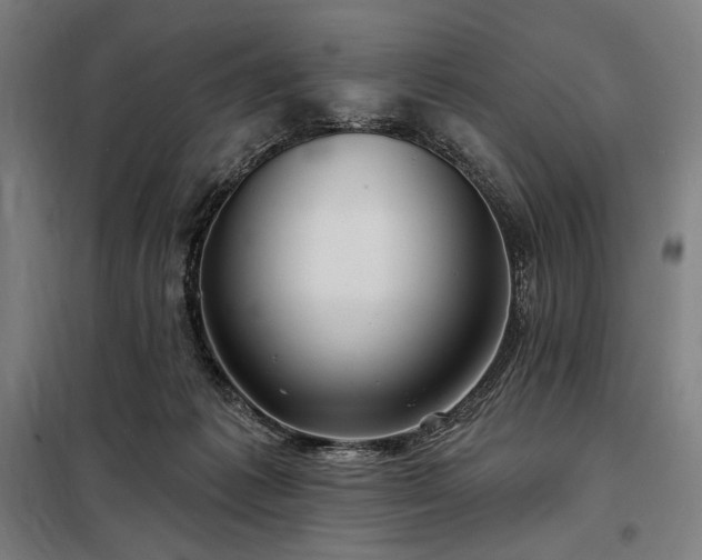 X0000097990221200804021016