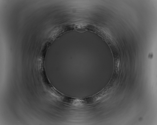 X0000097990222200804021016