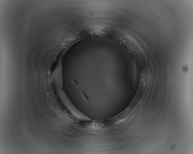 X0000097990223200804021016