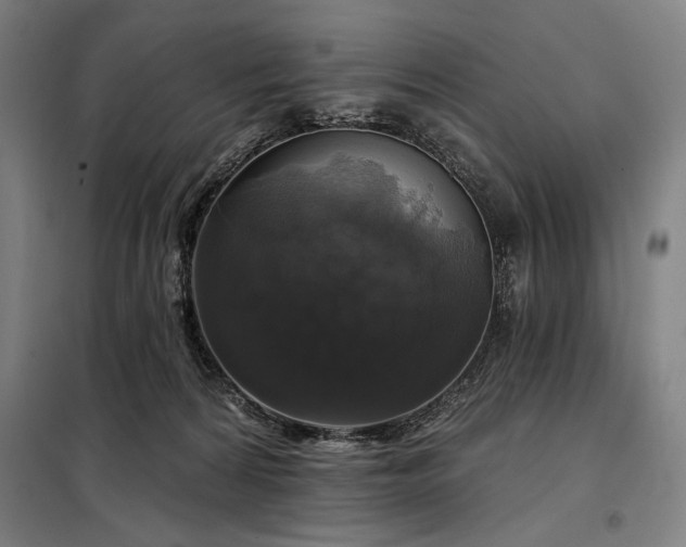 X0000097990224200804021016
