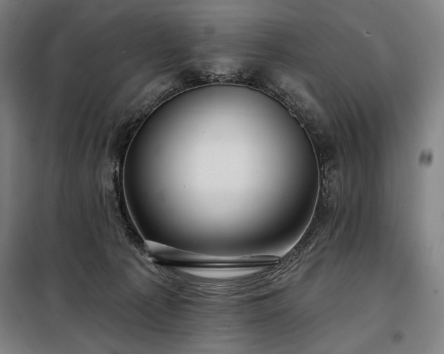 X0000097990225200804021016