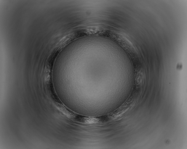 X0000097990226200804021015