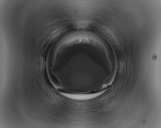 X0000097990228200804021015