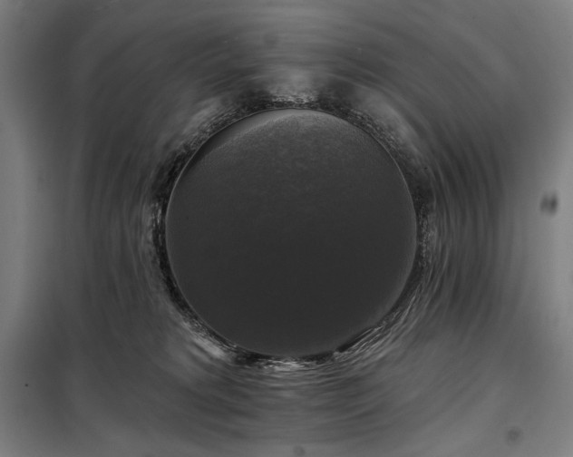 X0000097990229200804021015