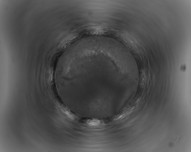 X0000097990230200804021015