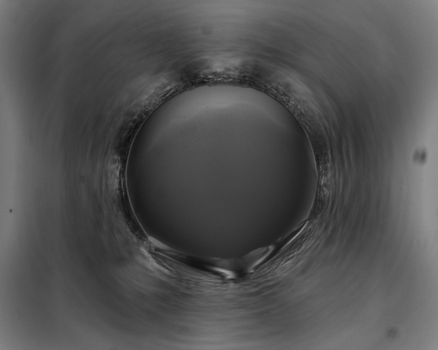 X0000097990231200804021015