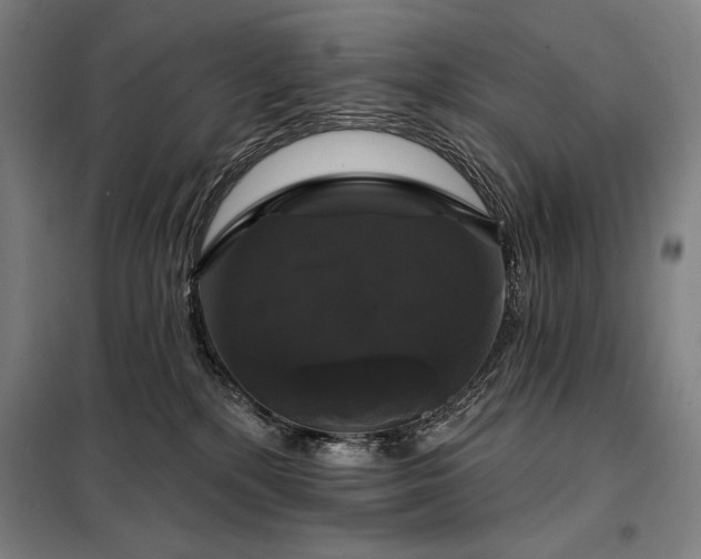 X0000097990232200804021015