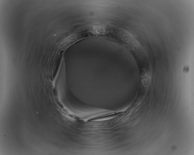 X0000097990233200804021015